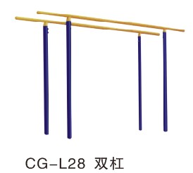 CG-L28˫��