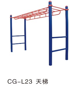CG-L23����