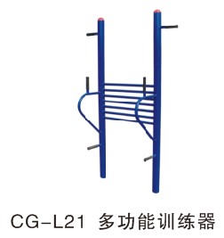 CG-L21�๦��ѵ